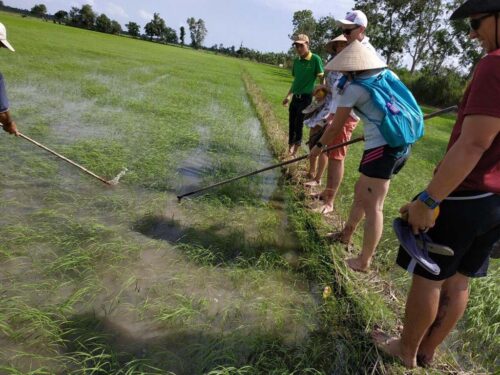 Countryside tours